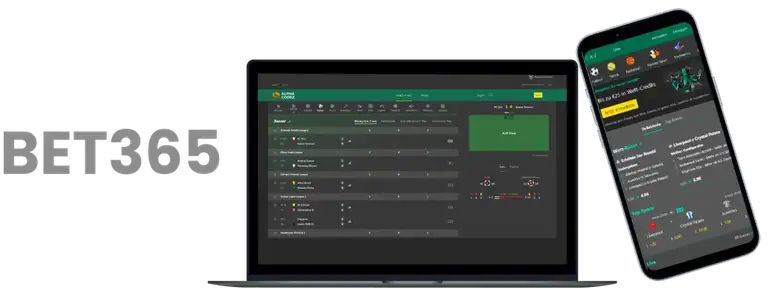 杨扬和班卡,将角逐,主席及副主,新葡京,新葡京app,新葡京娱乐,新普京赌场