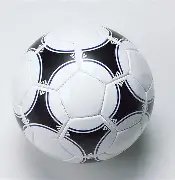 荣耀启航,金种子一鸣,惊人,新葡京,新葡京app,新葡京娱乐,新普京赌场