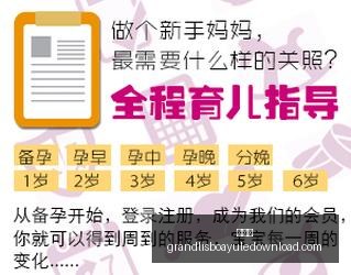 终极指南,韩国与巴西,淡水河谷,新葡京,新葡京app,新葡京娱乐,新普京赌场