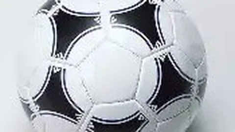 【荣耀启航】金种子一鸣惊人！字母哥忠诚之谜，雄鹿之心谁能解？