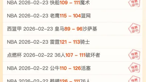 意甲主席提议联赛前关闭夏窗，英超响应但西甲、德甲、法甲不赞同